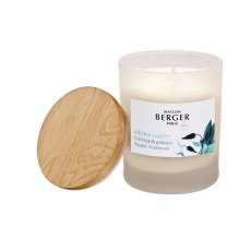 Maison Berger Aquatic Fresh Scented Candle