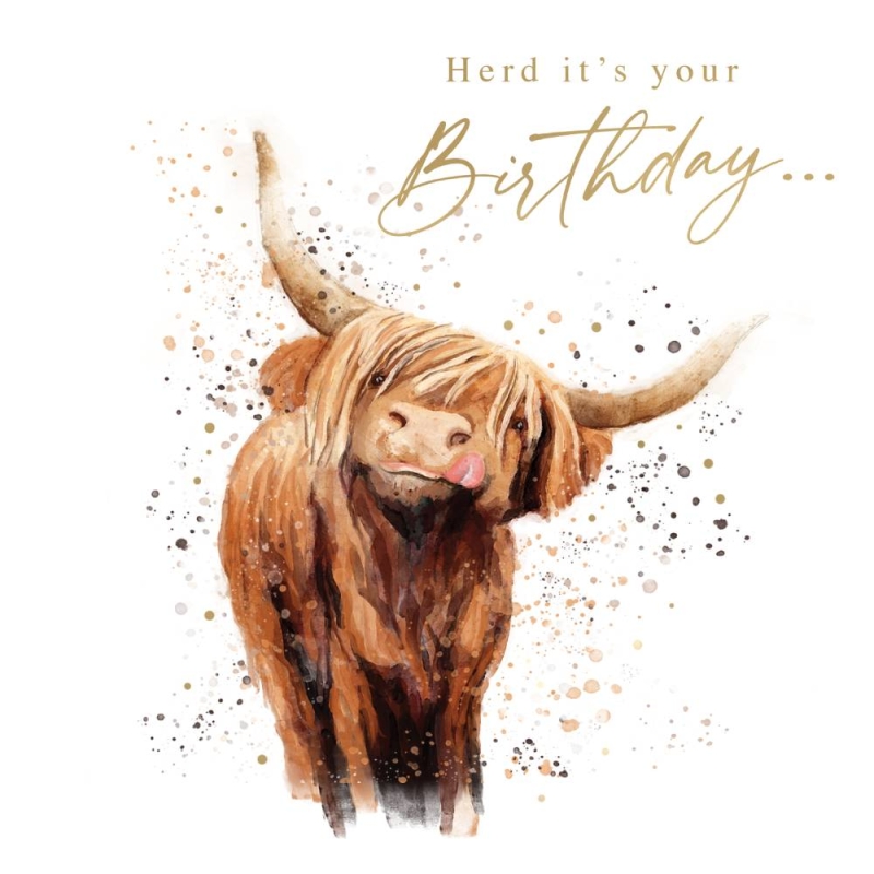 Highland Cow Birthday Card
