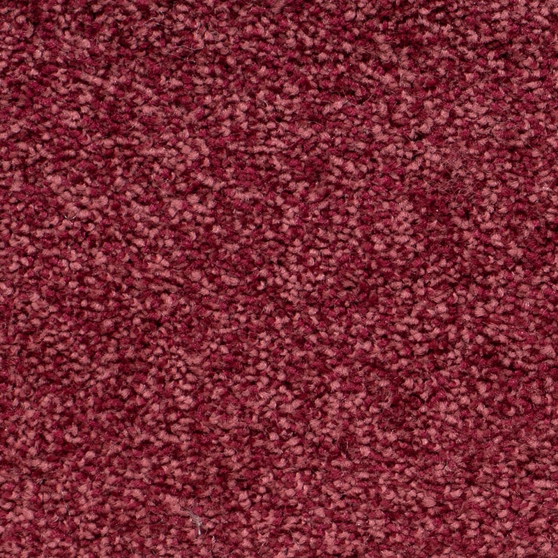 Rose red carpet