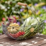 Sophie Conran Harvesting Basket - Large