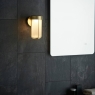 Brushed Gold & Frosted Glass LED Wall Light