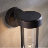 Brushed Bronze & Clear Glass LED Wall Light