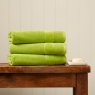 Christy Prism Towels Mojito