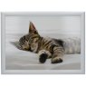 Creative Tops Sleeping Kitten Lap Tray