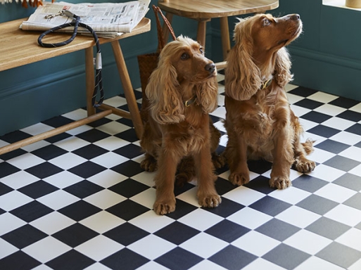 Amtico Flooring at Glasswells
