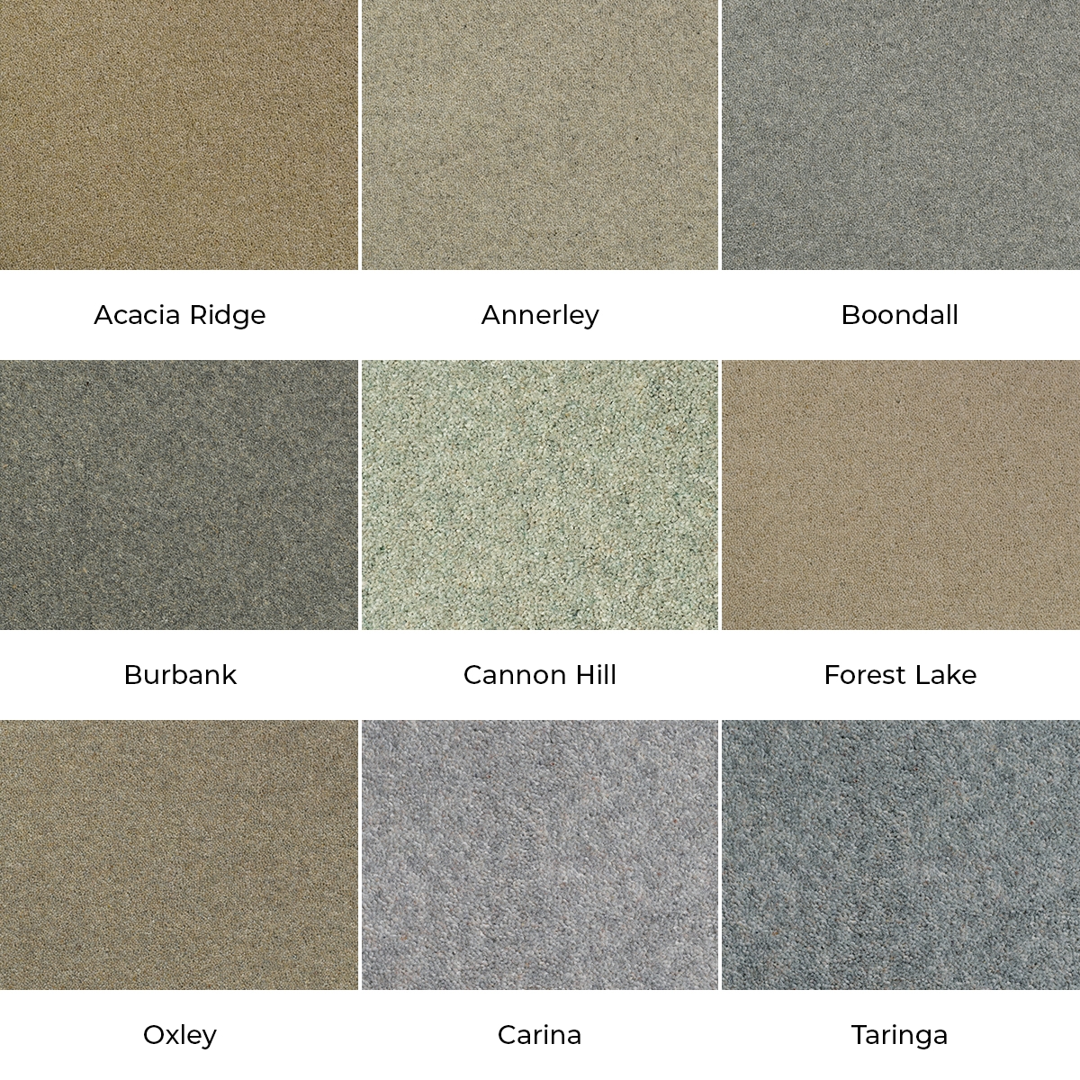 Brisbane Twist Carpet Glasswells