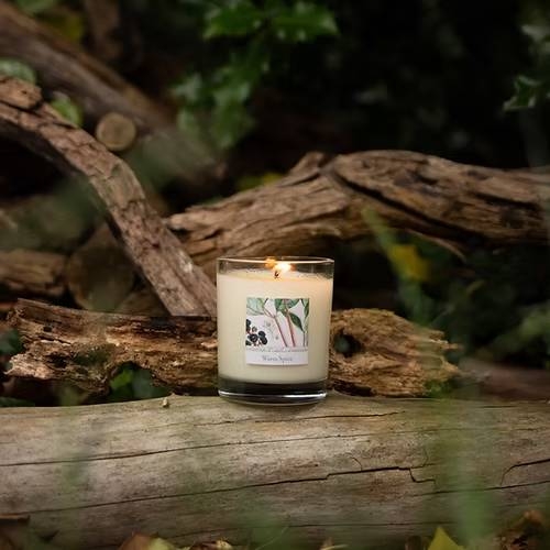 Frame Glass Rhs Rhs Glass Candle Warm Spice - Glasswells