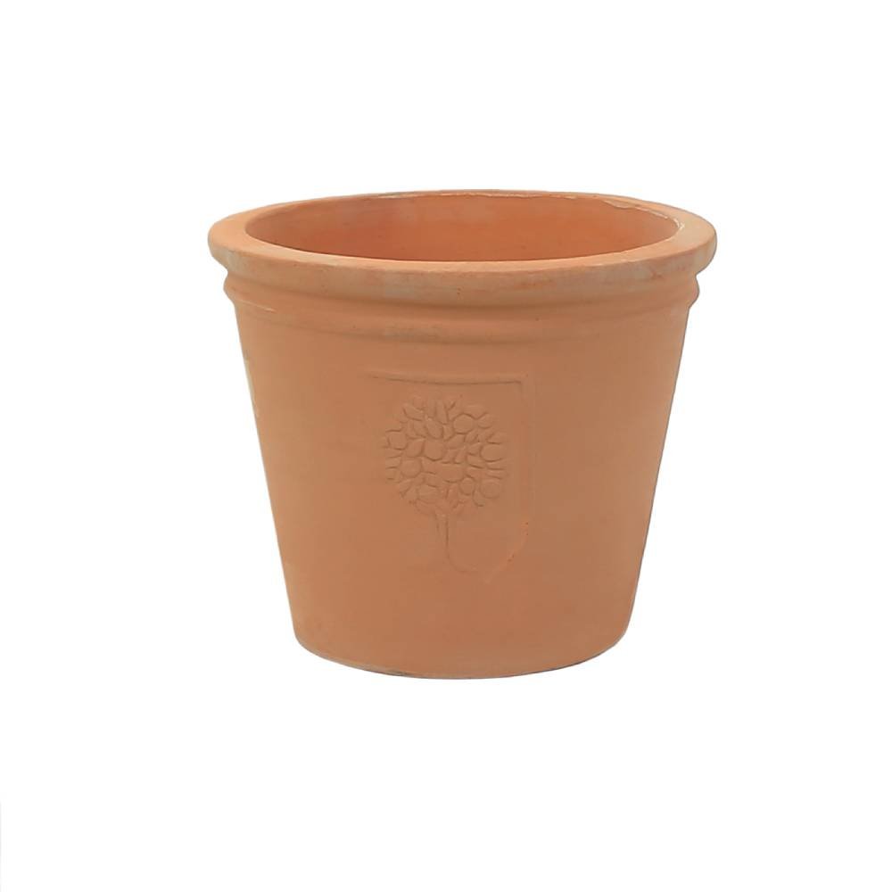 RHS Rosemoor Conical Pot - Glasswells