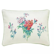 Sanderson Sweet William Cushion 30X40 Peacock