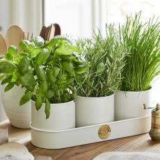 Sophie Conran Herb Pots - Buttermilk