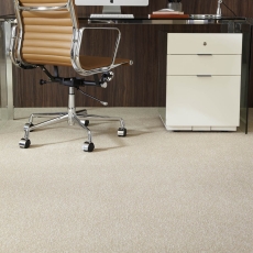 Sandown Carpet