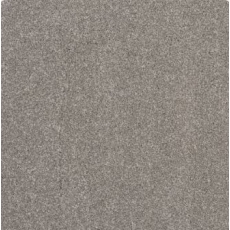 Pegasus Carpet 4m