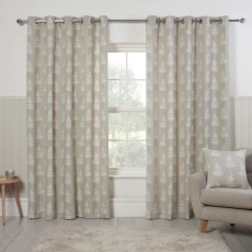 Esher Eyelet Headed Lined Curtains Silver