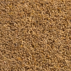 Croftmoor Caramel Carpet Roll End 3.40 x 5.00m