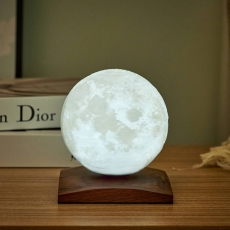 Mini Luna Spin Lamp