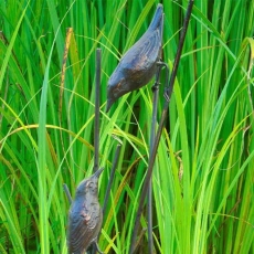 Birds on Reeds - Garden Sculpture