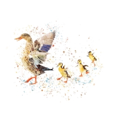 Duck and Ducklings Blank Greeting Card