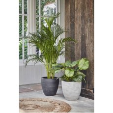 Toulouse Natural Planter