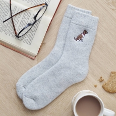 Dog Walker Socks Springer Spaniel (Liver & White)