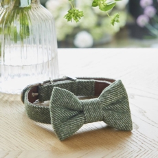 Tweed Dog Bow Tie - Green