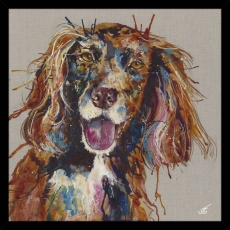 Spaniel Framed Print Large