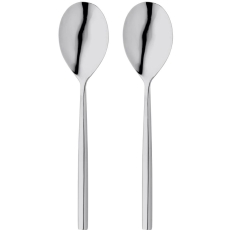 Stellar Rochester Pair Serving Spoons
