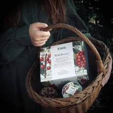 Rhs Wild Berries Wax Melt Gift Set
