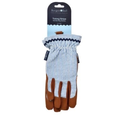 Collector Gloves Blue Stripe