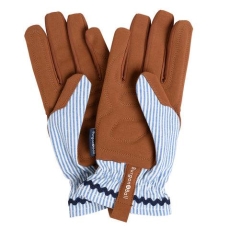 Collector Gloves Blue Stripe