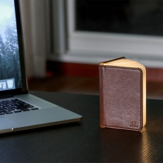Gingko Mini Smart Book Light Brown Leather