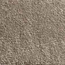 Apollo Elite Pale Acona Carpet Roll End 2.00 x 5.00m