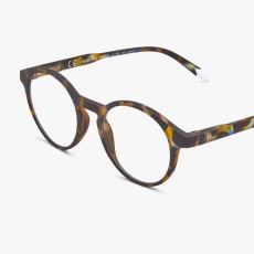 Barner Le Marais Blue Light Reading Glasses Light Tortoise