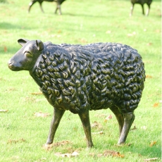 Sheep - Garden Sculpture