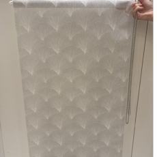 Sheer Roller Blind (Bury St Edmunds)