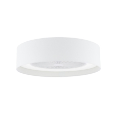 Ceiling Fan & Light with White Shade