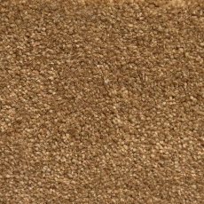 Apollo Plus Caramel Carpet Roll End 3.55 x 4.00M