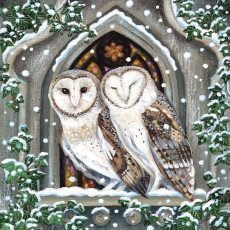 Owls In A Church Window Christmas Cards Pack of 8
