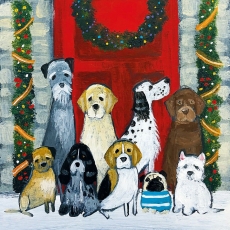 Ding Dong Merrily On High Christmas Cards Pack of 8