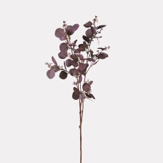 Aubergine Eucalyptus Seeds Spray