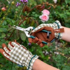 RHS Woodland Wonders Snips