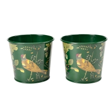 RHS Woodland Wonders Set of 2 Herb Pots