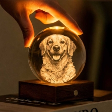 Gingko Amber Crystal Light 3D Laser Golden Retriever