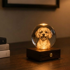 Gingko Amber Crystal Light 3D Laser Doodle Dog