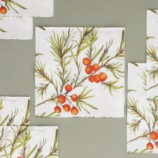 Gisela Graham Spruce & Red Berries - Pack of 20