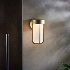 Brushed Gold & Frosted Glass LED Wall Light