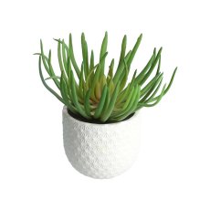 Gisela Graham Faux Spike Succulent In White Pot