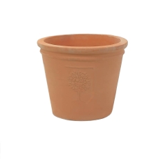 RHS Rosemoor Conical Pot