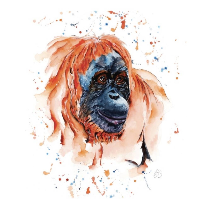 Orangutan - Blank Greeting Card