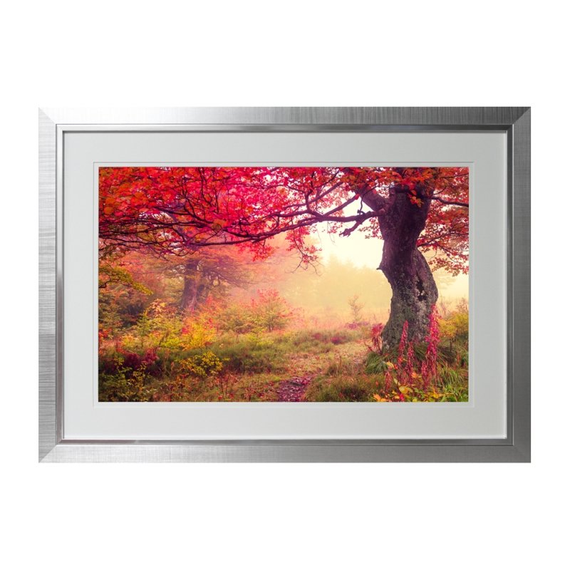 Turning Leaves I Framed Picture