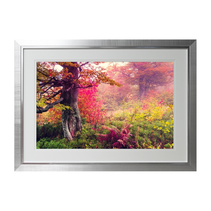 Turning Leaves II Framed Picture